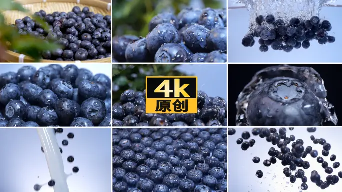 蓝莓视频在线观看首页｜蓝莓视频成品人网页版直达通道