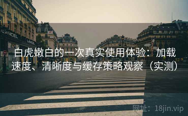 白虎嫩白的一次真实使用体验：加载速度、清晰度与缓存策略观察（实测）-第2张图片