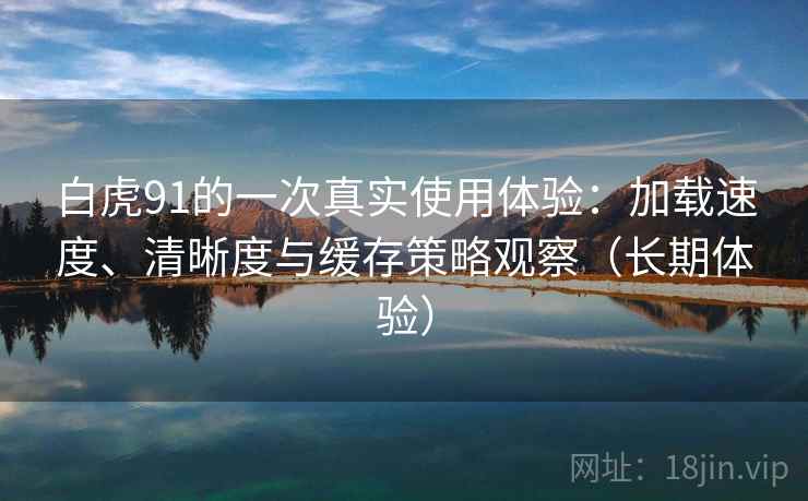 白虎91的一次真实使用体验:加载速度、清晰度与缓存策略观察(长期体验)-第2张图片 白虎91的一次真实使用体验:加载速度、清晰度与缓存策略观察(长期体验)-第2张图片
